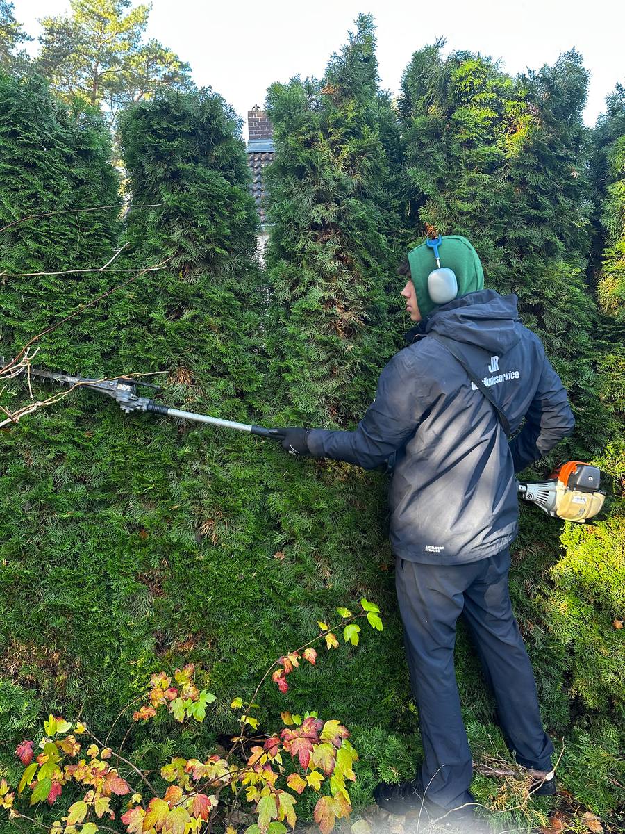 Heckenschnitt an einer hohen Thujahecke mit der Teleskop-Heckenschere.